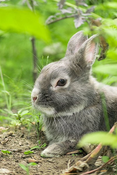 Boo de jardin(6x9)-041.jpg